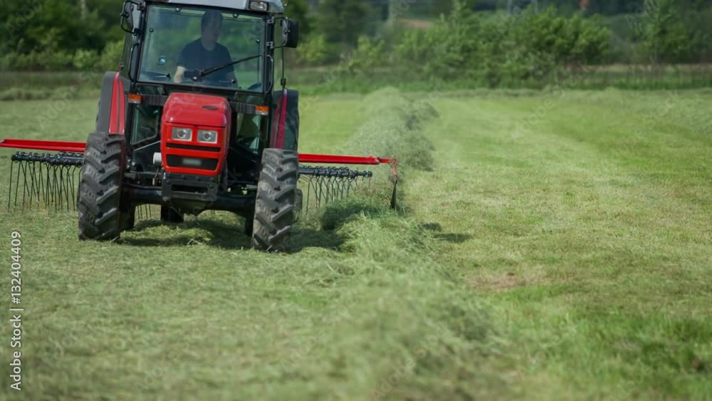 A young farmer is sitting in his tractor and he is preparing hay with a rotary hay rake. He is organizing his in long piles.
A young farmer is sitting in his tractor and he is preparing hay with a rotary hay rake. He is organizing his in long piles.