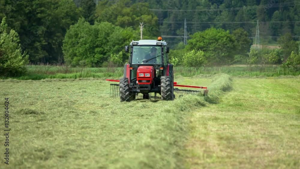 A red tractor is organizing hay with a rotary hay rake. A farmer is making long lines of hay. It is a nice summer day.
A red tractor is organizing hay with a rotary hay rake. A farmer is making long lines of hay. It is a nice summer day.