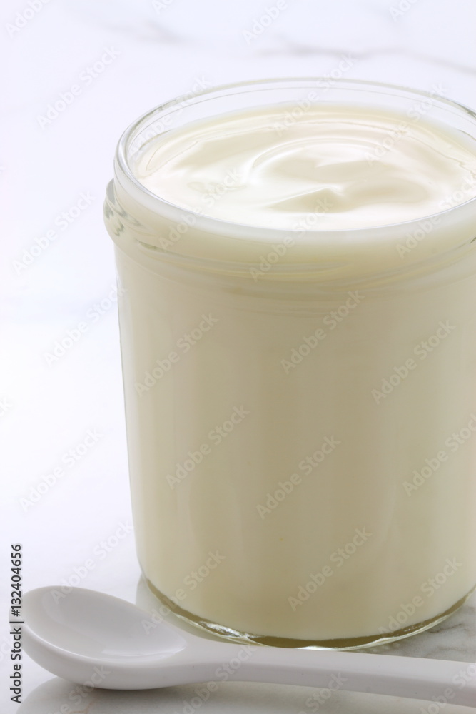 plain french style yogurt plain french style yogurt
