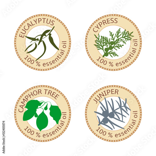 Set of flat essential oil labels. 100 percent. Eucalyptus, cypress, camphor tree, juniper