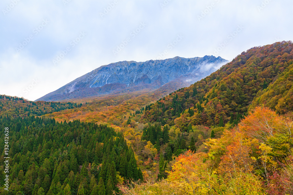 大山の紅葉 -鍵掛峠からブナの森と南壁-