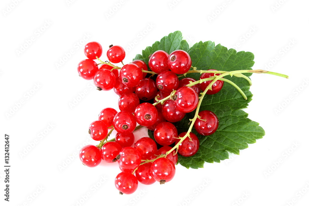red currant fruits isolated on a white background red currant fruits isolated on a white background