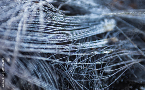 Metal carcass of the burnt automobile tire photo