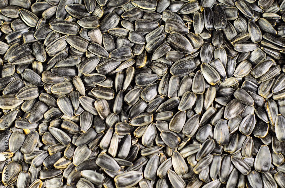Background of the roasted sunflower seeds Background of the roasted sunflower seeds