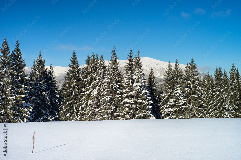 Winter Nature snowy landscape outdoor background.