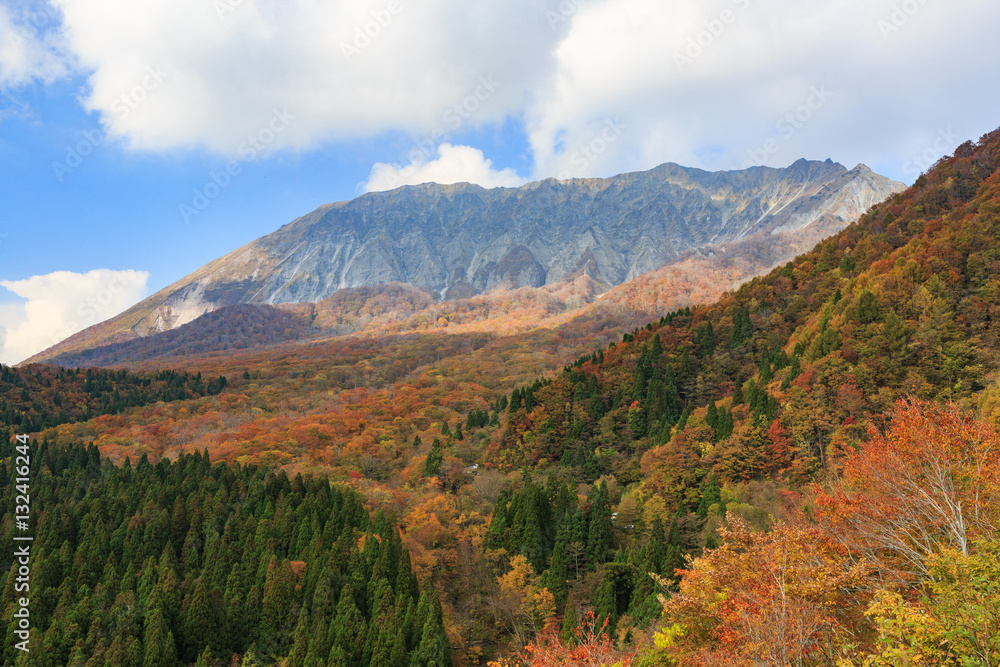 大山の紅葉 -鍵掛峠からのブナの森と南壁-