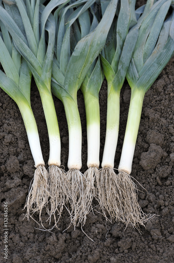 Leeks