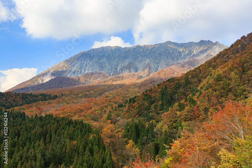 大山の紅葉 -鍵掛峠からのブナの森と南壁-