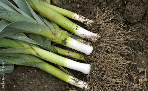 Leeks