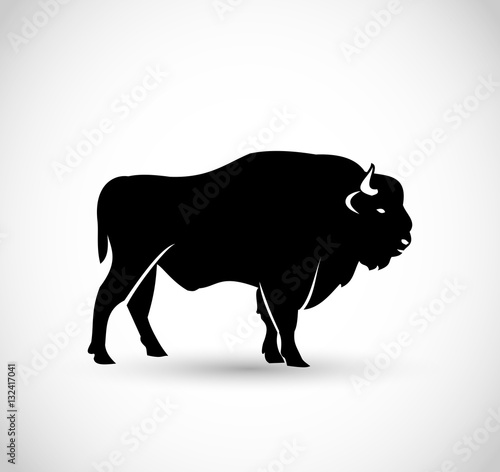 European bison icon vector