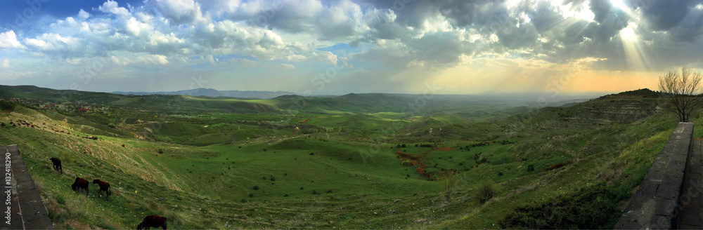 Armenian landscape with cows Armenian landscape with cows