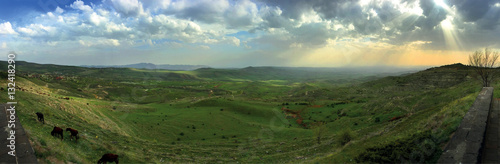 Armenian landscape with cows