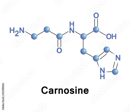 Carnosine, beta-alanyl-L-histidine, is a dipeptide molecule, made up of the amino acids beta-alanine and histidine. It is highly concentrated in muscle and brain tissues.