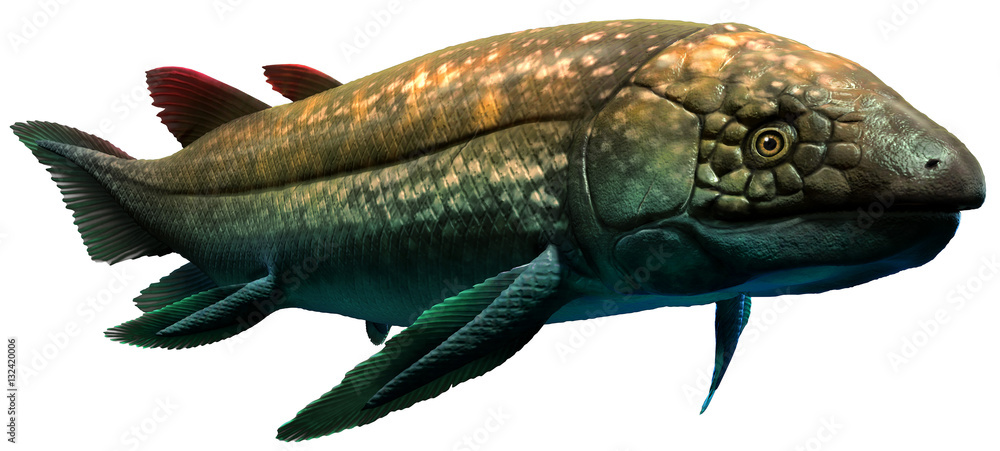 Dipterus from the Devonian era 3D illustration Dipterus from the Devonian era 3D illustration