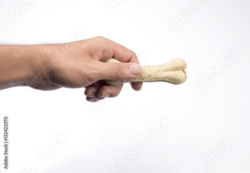 Hand holding dog food are shape of bone for pet.