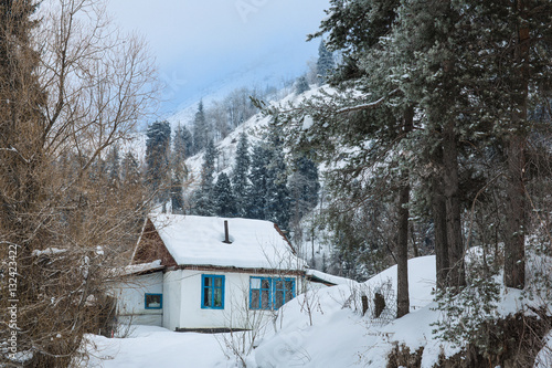 old cabin in the mountains among fir trees in winter