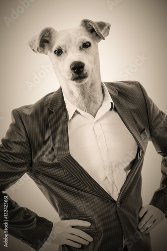 Man with a dog's head: Businessman with the head of a Jack Russell
