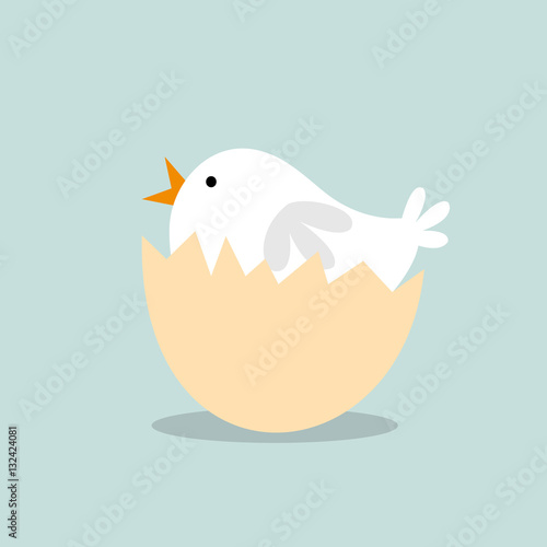 The chick hatching
