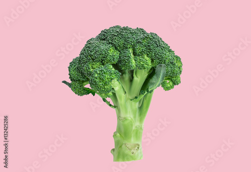 Fresh Broccoli isolated on pink background. (with clipping path)
