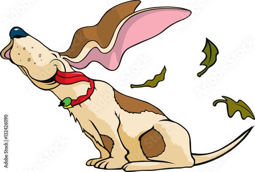 Basset in the wind
cartoon Basset Hound on a windy day.