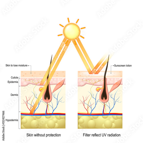 Protect human skin from UVA , UVB ray