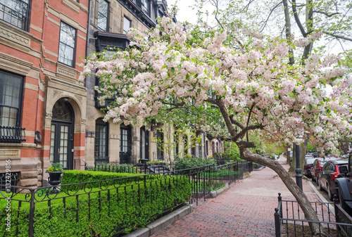 Boston in early spring  Massachusetts  USA