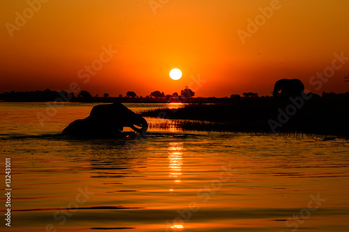 Chobe river safari sunset