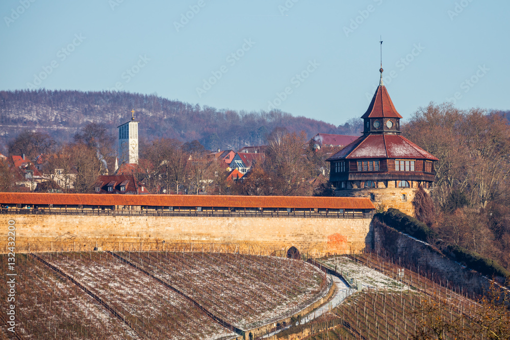 Obraz premium Burg in Esslingen am Neckar