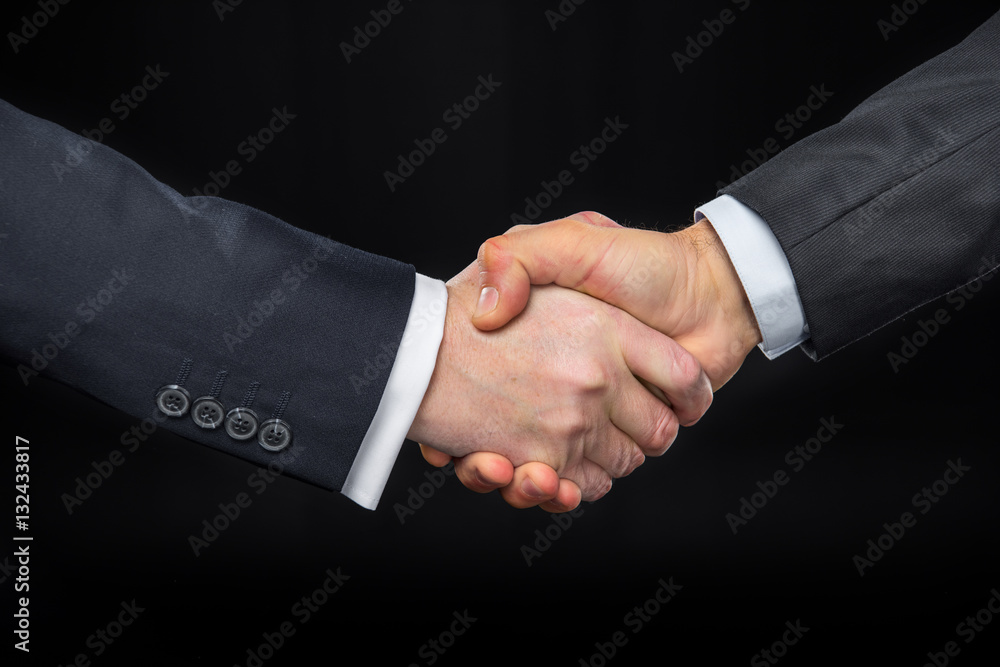 Businespeople shaking hands Businespeople shaking hands