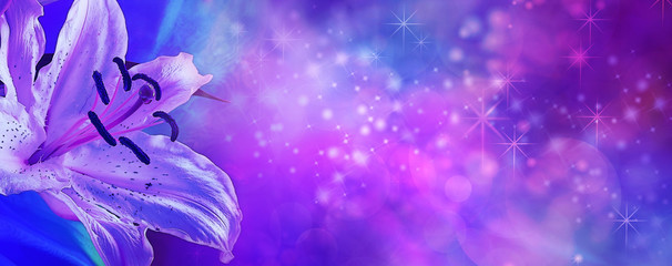 Magical Lily Sparkle Banner - Pink and blue bokeh sparkle background with a beautiful graphic lily on left side with plenty of copy space
