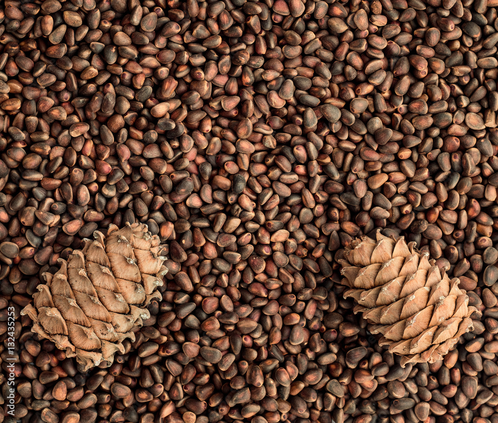 Fototapeta premium Pine nuts and cones.