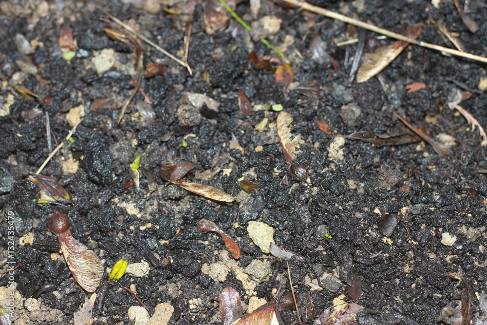 Soil and gravel texture or background Soil and gravel texture or background