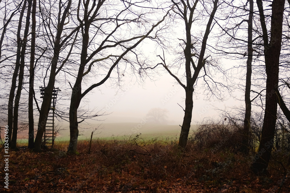 Mecklenburgische Schweiz - Hügelige Landschaft im Nebel Mecklenburgische Schweiz - Hügelige Landschaft im Nebel