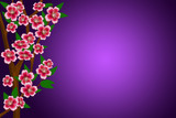Branches of apple-tree with flowers and leaves on the abstract purple background