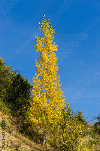 Autumn landscape