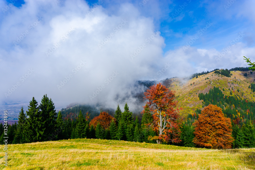 Naklejka premium Autumn landscape