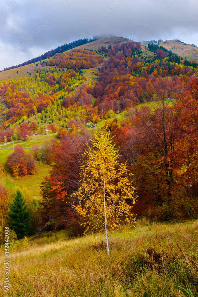 Autumn landscape Autumn landscape