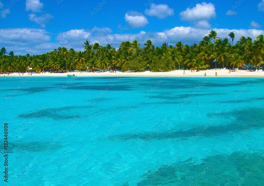 Beach Dominicana on the tropical island. Clear blue water, sand and palm trees. Beautiful vacation spot, treatment and aquatics.