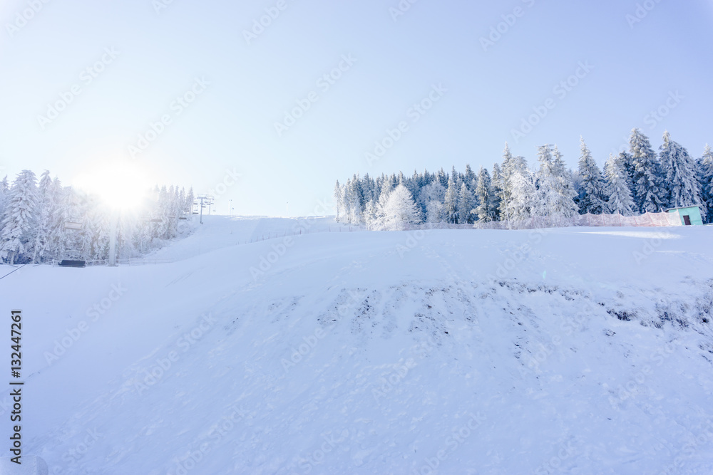 Cold winter Cold winter