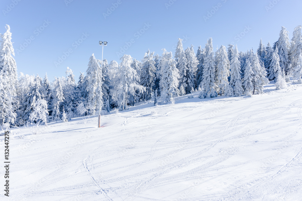 Obraz premium Winter landscape