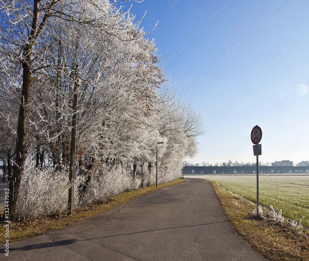 Bavarian winter, rural road with frosted trees and sunny cold weather
