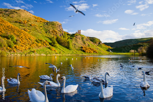 Edinburgh  -  spring travel destination in Scotland. photo