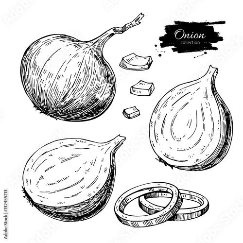 Onion hand drawn vector set. Full, rings and Half cutout slice. Isolated Vegetable