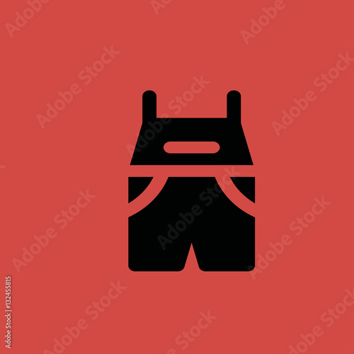 overall icon. flat design