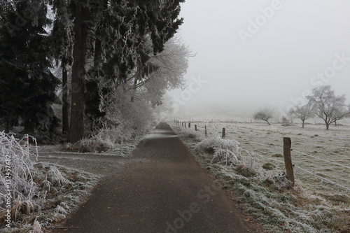 walkway and frosty weather
