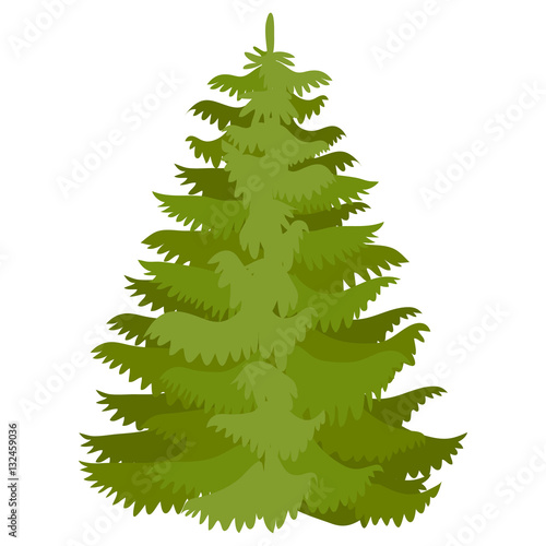 Vector illustration with fir-tree