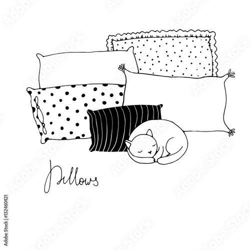 Beautiful pillows and cute cat on a white background.