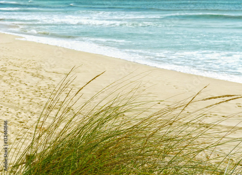 Wallpaper Mural On the beach of Son Boy - Menorca, Spain Torontodigital.ca
