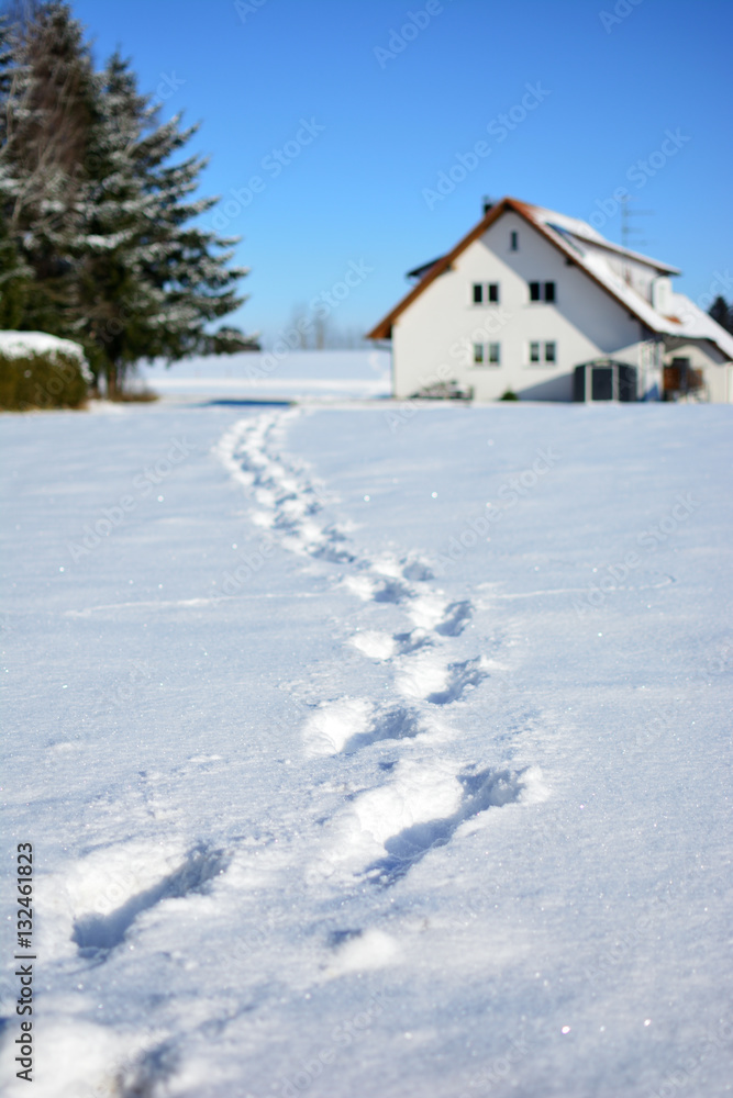 Footprints in the snow Footprints in the snow