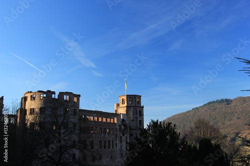 Schloss in Heidelberg